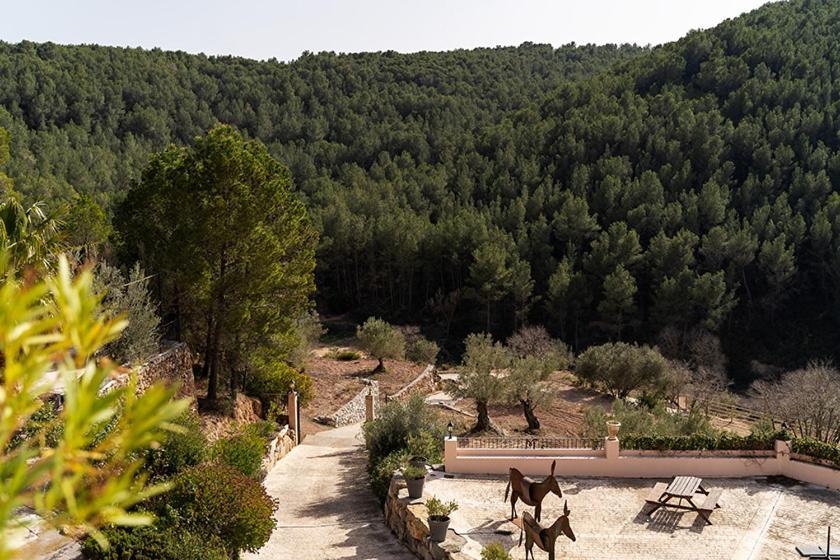 Masia De Matuta Vall d'Almonesir Exterior foto